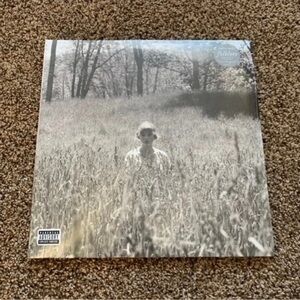 NEW Taylor Swift Folklore In The Weeds Vinyl